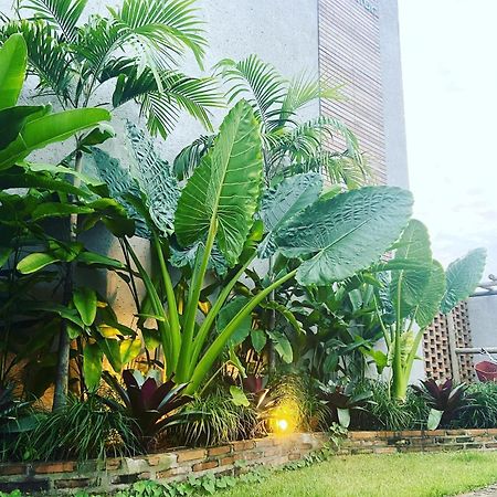 Vilarejo Dos Milagres São Miguel dos Milagres Exterior foto